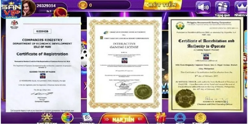 Tổng quan về Sanvip